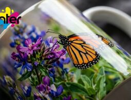 estudio-de-sublimacion-profesional-con-tazas-y-camisetas-personalizadas-bioprinter